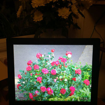 Best Digital Photo Frame 2018 Show Off Your Favourite Photos Nix Advance Digital Frame 10 Inch Non Wi Fi At Nixplay Price