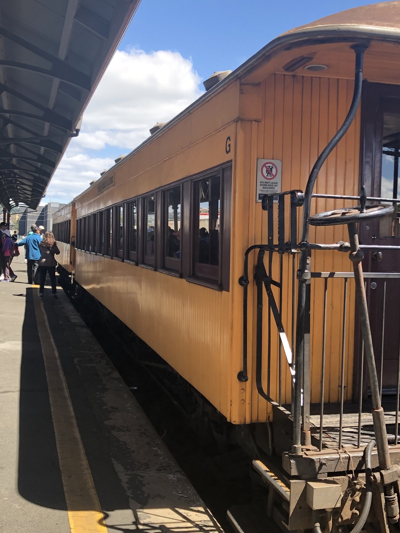 往復4時間ですが日常的にずれ込むようなので＋1時間必要です。
この列車に乗車しなければ見る事の出来ないニュージーランドの大自然を堪能しました。
復路は同じ景色なので少し飽きるかと思っていましたが、往路で見逃した景色や感動した景色を再度見る事ができ満足でした。
見所では走行スピードを落として案内放送(英語のみ)もあります。